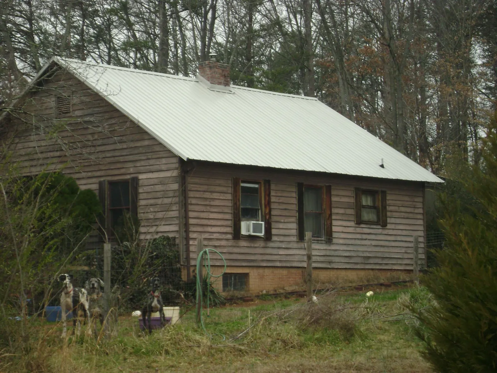 White metal roof on an old wood sided farmhouse, from a Asphalt Shingle Roof Repair job in Cary